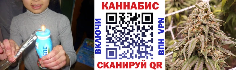 Шишки марихуана AK-47  закладка  Шарья 